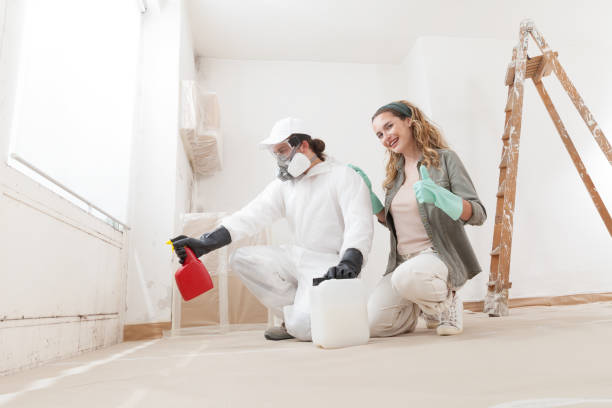 Sulphur Springs, TX Mold Removal Company